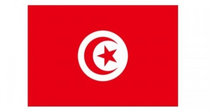 Tunus'tan Hurma İthalatı Hakkında