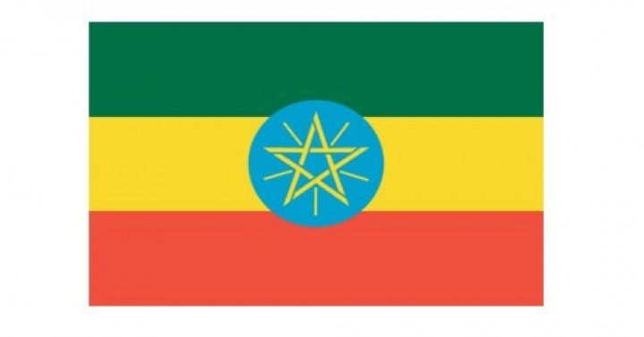 Etiyopya Hükümeti'nin İthalat Yasağı Getirmesi Hakkında