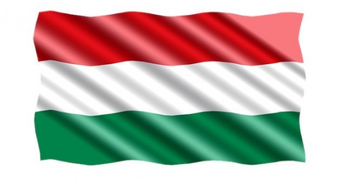 Macaristan Sunumları