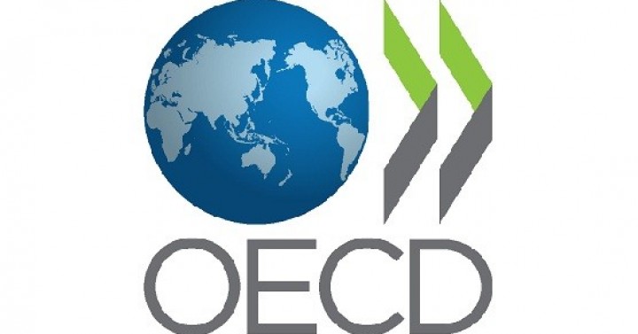 OECD Çok Uluslu Şirketler Rehberi