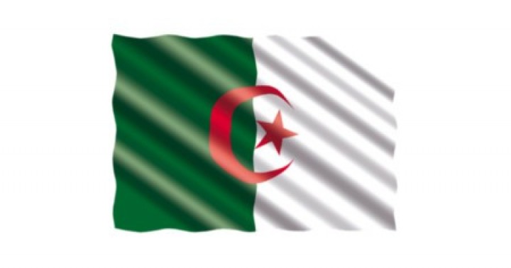 Cezayir Pazarına Giriş Hakkında