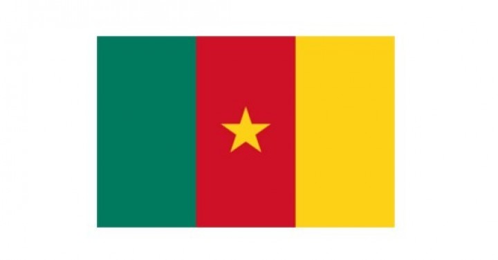 Kamerun 8. Uluslararası İşletmeler, KOBİ'ler ve Ortaklıklar Fuarı