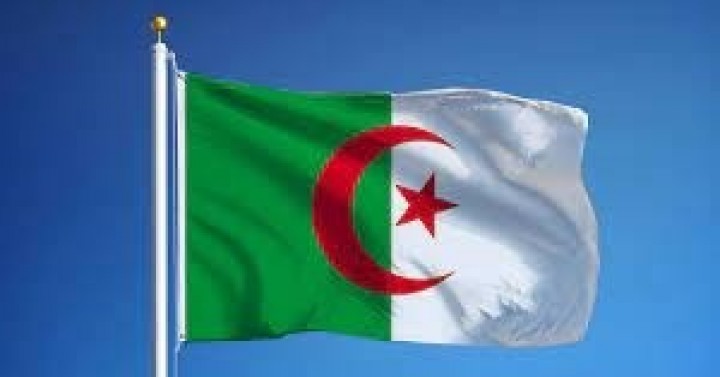 Cezayir'e İhraç Edilmek Üzere Bekleyen Ürünler