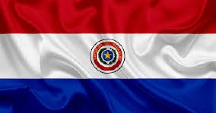 Paraguay'da Gerçekleştirilen İhaleler