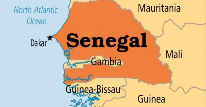 Senegal Sektörel Raporlar