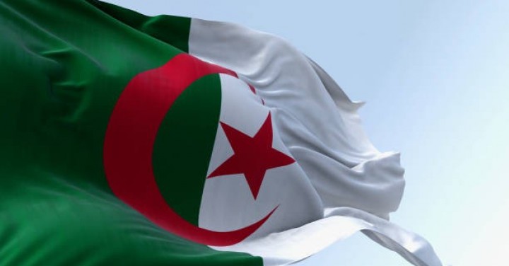 Cezayirli Sorunlu İthalatçı Firma Hakkında
